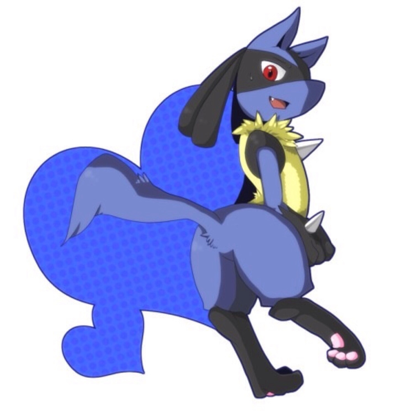 &lt;3 1:1 butt feet full-length_portrait happy hi_res hindpaw looking_at_viewer looking_back lucario male nintendo open_mouth pawpads paws pok&eacute;mon raised_tail red_eyes simple_background spikes video_games white_background
