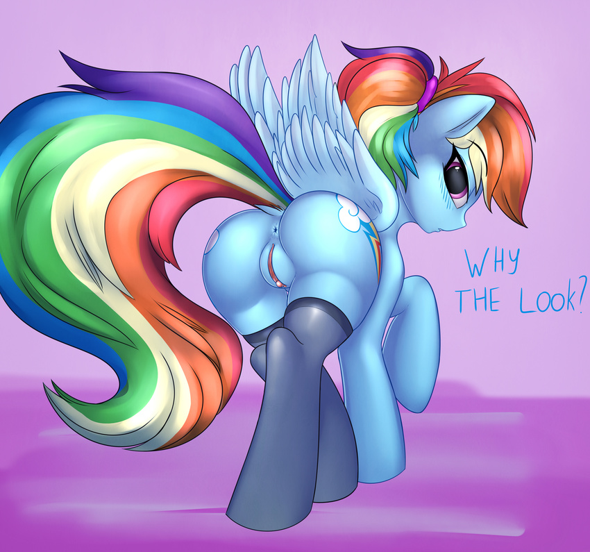 2016 absurd_res alternate_hairstyle anus blush butt clothing cutie_mark dialogue dock elzzombie english_text equine feathered_wings feathers female feral friendship_is_magic hair hi_res legwear looking_at_viewer mammal multicolored_hair my_little_pony pegasus pussy rainbow_dash_(mlp) rainbow_hair solo text wings