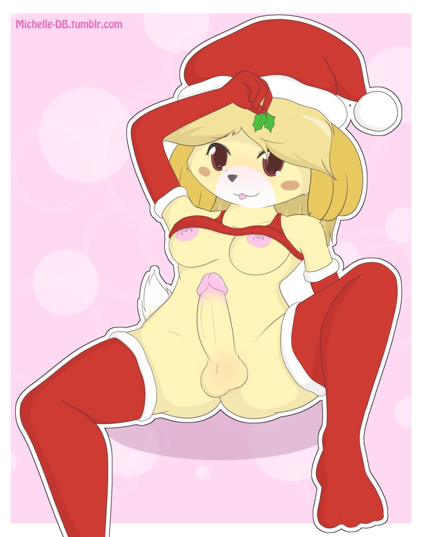 2016 animal_crossing blonde_hair breasts canine christmas dashboom dickgirl dog fur hair holidays intersex isabelle_(animal_crossing) mammal mistletoe nintendo nipples nude penis plant solo tongue video_games yellow_fur