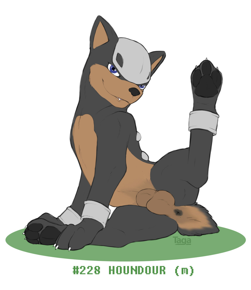 anus balls biting_lip canine doberman dog feral houndour looking_at_viewer looking_back male mammal nintendo nintento paws pok&eacute;mon presenting sheath simple_background smile solo taga video_games