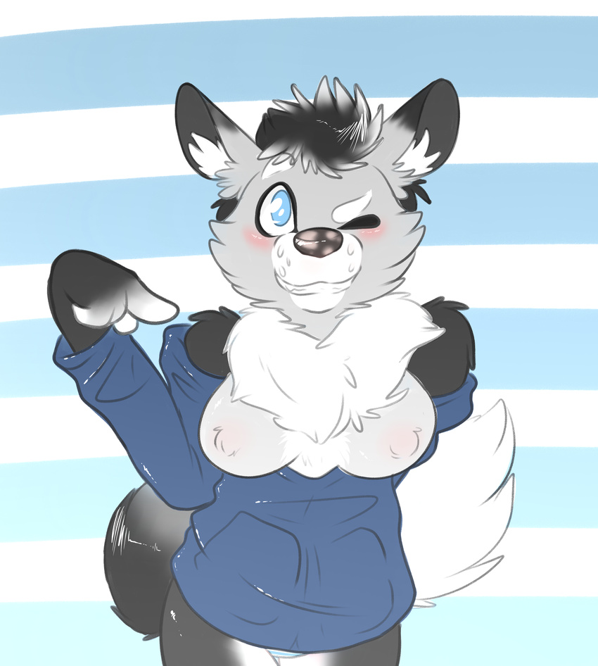 2015 anthro backsash blue_eyes blush bottomless breasts canine clothed clothing digital_media_(artwork) dog female fur hair half-dressed hoodie husky mammal one_eye_closed simple_background smile solo teeth wink