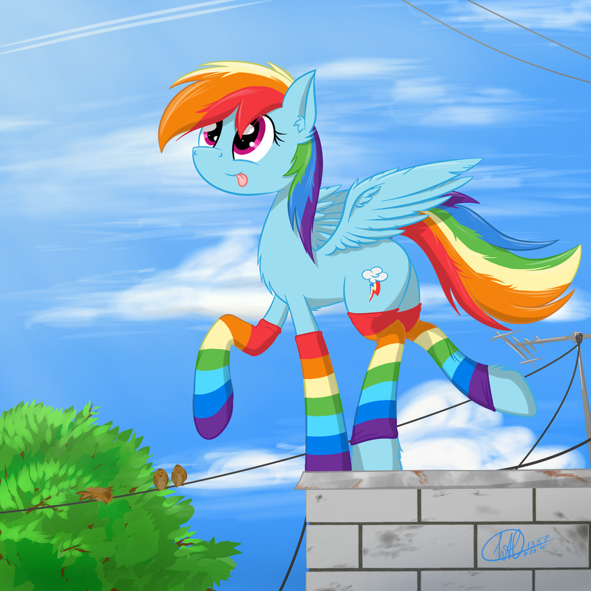 2015 avian bird clothing cloud cloudscape cutie_mark equine feathered_wings feathers female feral friendship_is_magic hair inner_ear_fluff leg_warmers legwear mammal multicolored_hair my_little_pony open_mouth outside pegasus rainbow_dash_(mlp) rainbow_hair roof rooftop silly_face sky socks solo tongue tongue_out tree walking wan1357 wings