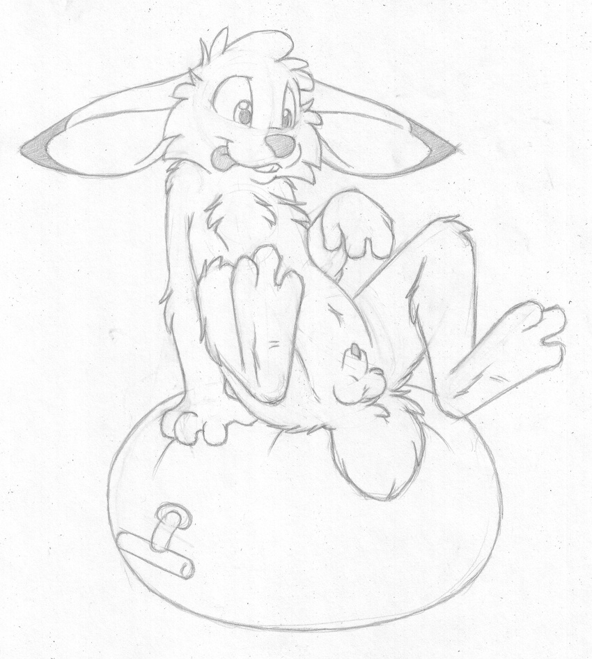 anthro arm_support balancing balls barefoot buckteeth cub greyscale jake_cottontail lagomorph legs_up looking_at_penis male mammal mizzyam monochrome nude on_top pencil_(artwork) penis penis_tip rabbit reclining sheath sitting solo space_hopper spread_legs spreading teeth tongue tongue_out traditional_media_(artwork) young