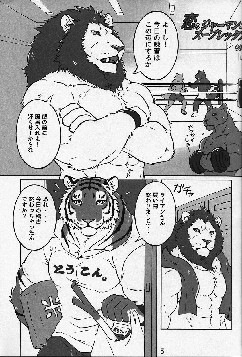 abs anthro biceps big_muscles brown_fur brown_hair bulge canine chest_tuft clothed clothing comic couple duo feline food fur giraffe_(artist) hair japanese_text lam-chan lion lion-san male male/male mammal muscular muscular_male pecs sex shirt stripes text tiger topless tuft underwear white_fur