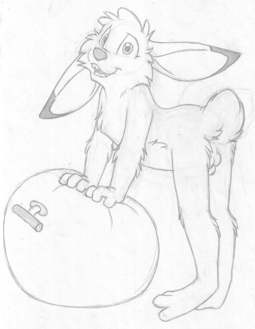 anthro balls barefoot bent_over buckteeth cub digitigrade greyscale jake_cottontail lagomorph looking_at_viewer male mammal mizzyam monochrome nude open_mouth pencil_(artwork) pinup pose rabbit sheath side_view smile solo space_hopper standing teeth traditional_media_(artwork) young