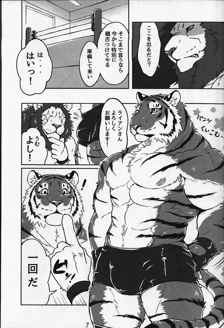 anthro biceps big_muscles bulge chest_tuft clothing comic duo feline fur giraffe_(artist) japanese_text lam-chan lion lion-san male mammal muscular muscular_male nipples text tiger tuft underwear