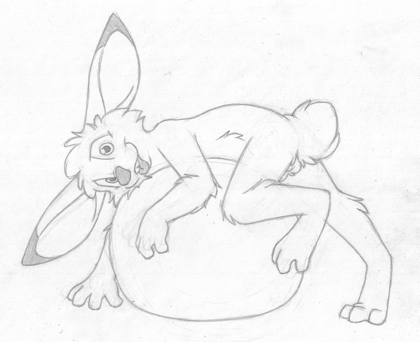 anthro balls barefoot barely_visible_genitalia buckteeth cub digitigrade greyscale jake_cottontail lagomorph looking_at_viewer lying male mammal mizzyam monochrome nude on_front one_leg_up pencil_(artwork) rabbit sheath smile solo space_hopper teasing teeth tongue tongue_out traditional_media_(artwork) young