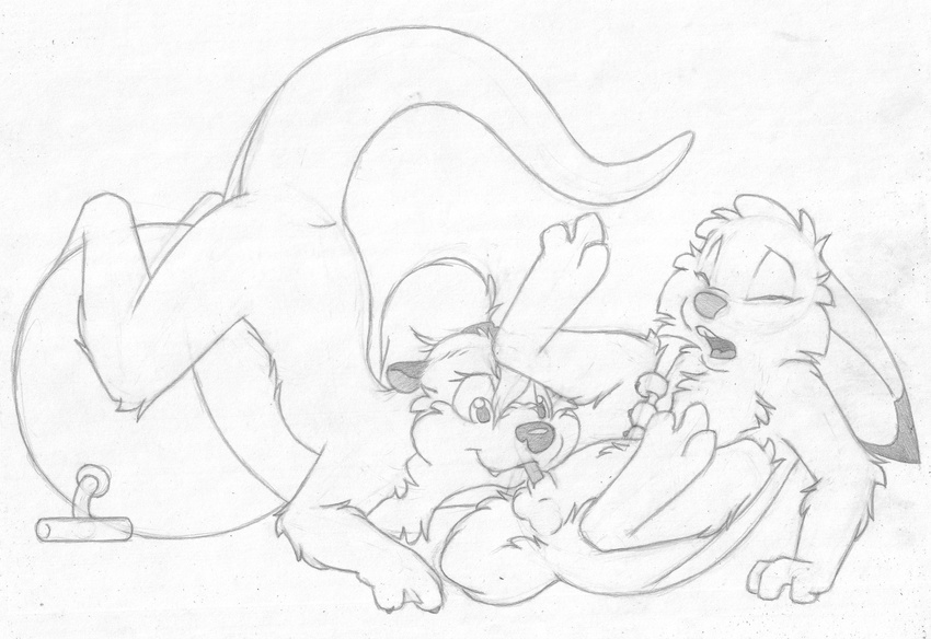 anthro ass_up balls barefoot buckteeth cub cute_fangs duo eyes_closed fellatio female greyscale jake_cottontail katie_kirster lagomorph leg_grad legs_up looking_pleasure lying male male/female mammal mizzyam monochrome mustelid nude on_front open_mouth oral oral_penetration otter pencil_(artwork) penetration penis ponytail rabbit raised_tail reclining sex sheath side_view sitting space_hopper spread_legs spreading teeth traditional_media_(artwork) young