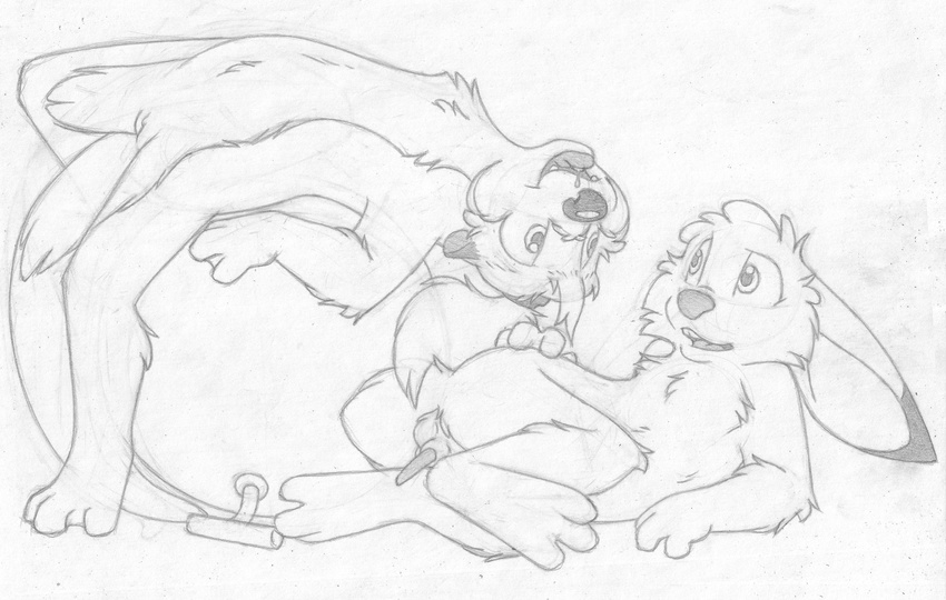anthro backsack balls barefoot buckteeth cub cute_fangs dripping duo erection eye_contact female greyscale jake_cottontail katie_kirster lagomorph lying male male/female mammal mizzyam monochrome mustelid nude on_back open_mouth otter pencil_(artwork) penis penis_backwards penis_tuck perineum ponytail pussy rabbit sheath space_hopper tapering_penis teeth tongue tongue_out traditional_media_(artwork) young