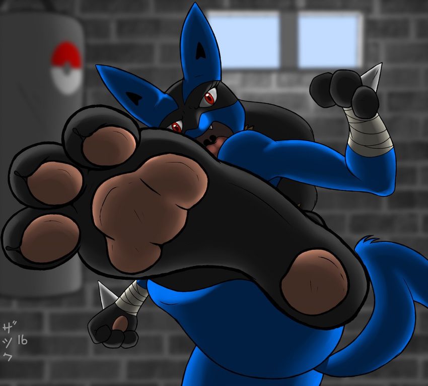 2016 3_toes anthro butt foot_focus fur kick looking_at_viewer lucario muscular nintendo pok&eacute;mon pose punching_bag red_eyes solo toes video_games wall window zp92