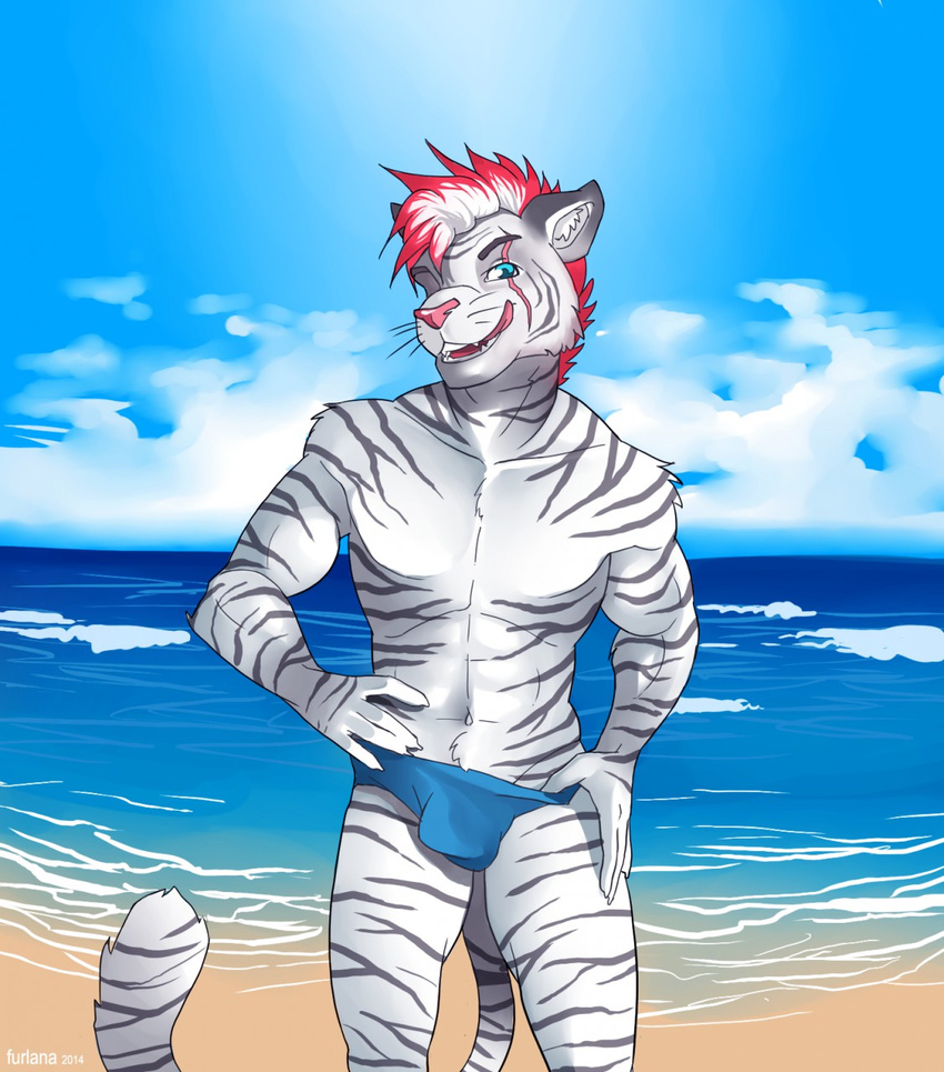 2014 5_fingers anthro beach blue_eyes bulge chest_tuft clothing detailed_background fangs feline fur furlana hair inner_ear_fluff looking_at_viewer male mammal mohawk muscular navel pink_nose pubes red_hair sand scar seaside short_hair standing swimming_trunks swimsuit teeth tiger tounge_out tuft water watermark white_fur white_hair