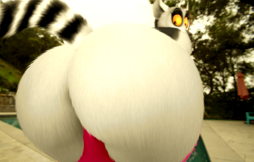 all_hail_king_julien bent_over big_butt bikini butt clothing crossgender edit female fur king_julien lemur madagascar mammal oystercatcher7 photo_manipulation photomorph presenting presenting_hindquarters primate raised_tail solo striped_tail swimsuit the_penguins_of_madagascar white_fur