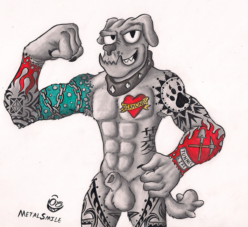 2016 abs animal_genitalia anthro athletic balls biceps canine chain chest_tuft claws cock_sheath collar diamond_dog_(mlp) dog fido_(mlp) friendship_is_magic front_view fur grin hi_res looking_at_viewer male mammal metalsmile muscular my_little_pony nude paws pecs pinup pose sheath simple_background smile smirk solo standing suggestive tattoo teeth traditional_media_(artwork) tribal tuft white_background