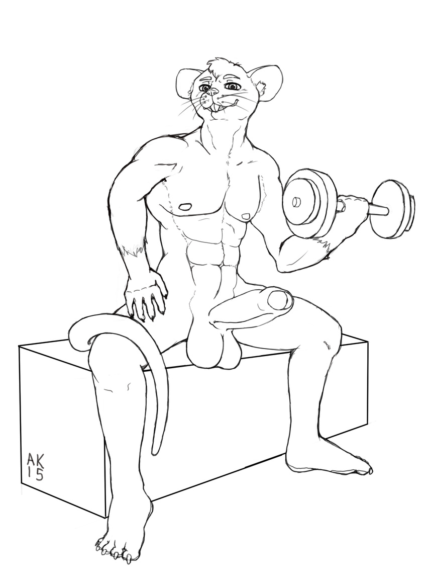 akemi_yukio exercise male mammal penis rat rodent solo uncut weightlifting workout