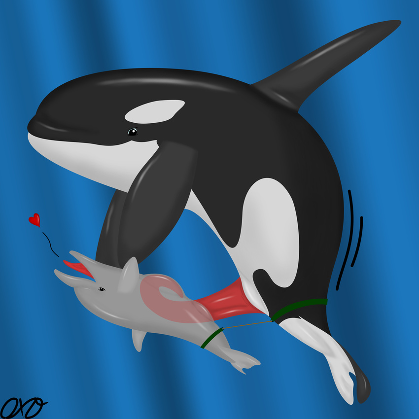 &lt;3 cetacean dolphin mammal marine open_mouth orca orcaxdragon size_different whale