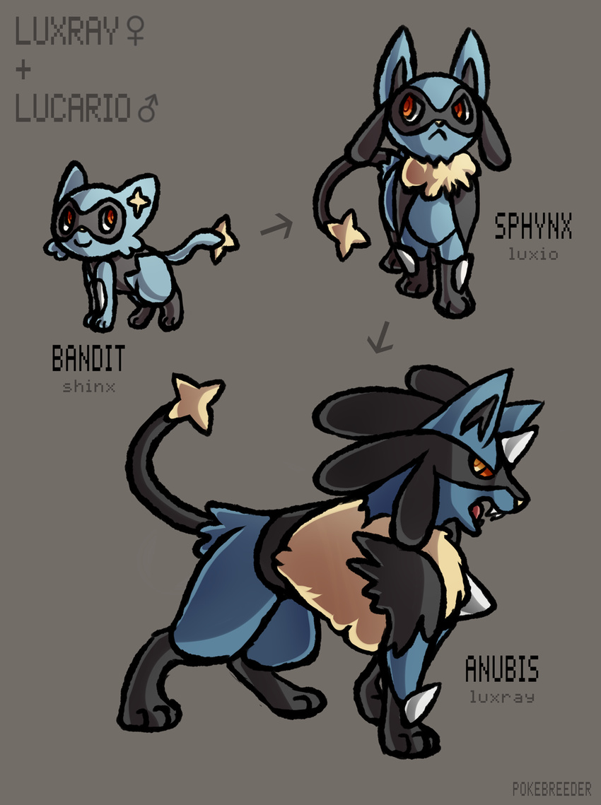 ambiguous_gender black_fur blue_fur fur hybrid lucario luxio luxray nintendo pok&eacute;mon pokebreeder red_eyes riolu shinx spikes video_games yellow_fur