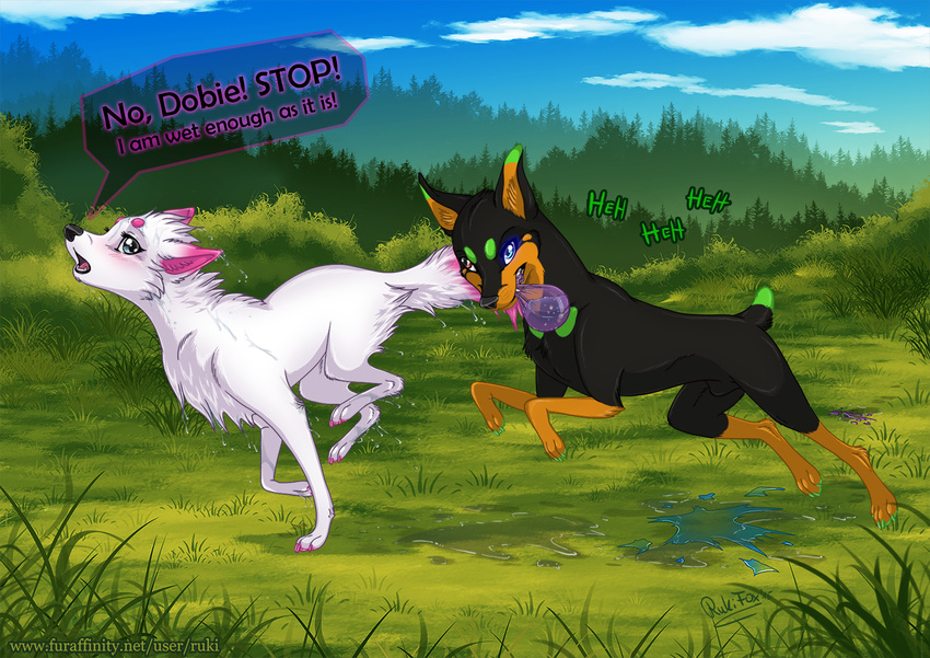 animal_genitalia black_fur blue_eyes canine dialogue dobermann dobie duo female feral fur glowing glowing_eyes grass heterochromia luna_(disambiguation) male mammal orange_eyes outside rukifox running sheath water_balloon wet white_fur wolf