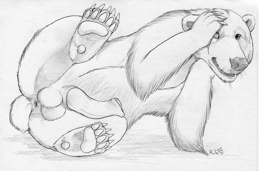 2016 anus balls bear embarrassed feral hindpaw lying male mammal nude on_side paper-wings paws penis polar_bear solo spread_legs spreading