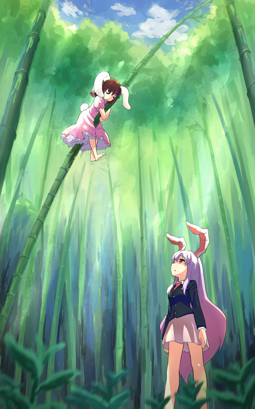 absurdres animal_ears bamboo bamboo_forest barefoot brown_hair bunny_ears bunny_tail closed_eyes dress forest highres inaba_tewi jacket long_hair long_sleeves looking_at_another looking_up multiple_girls nature necktie open_mouth pink_dress profile puffy_sleeves purple_hair red_eyes reisen_udongein_inaba shiya short_hair short_sleeves skirt sleeping sweatdrop tail touhou very_long_hair