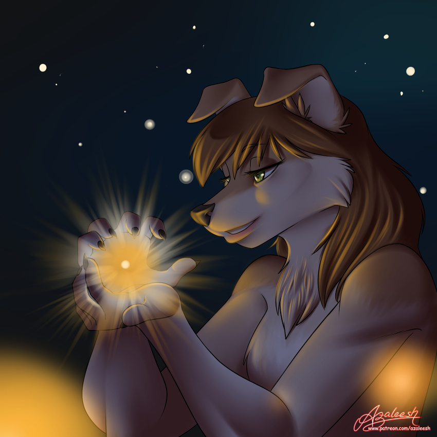 camperschaf canine female firefly mammal night smile star ych