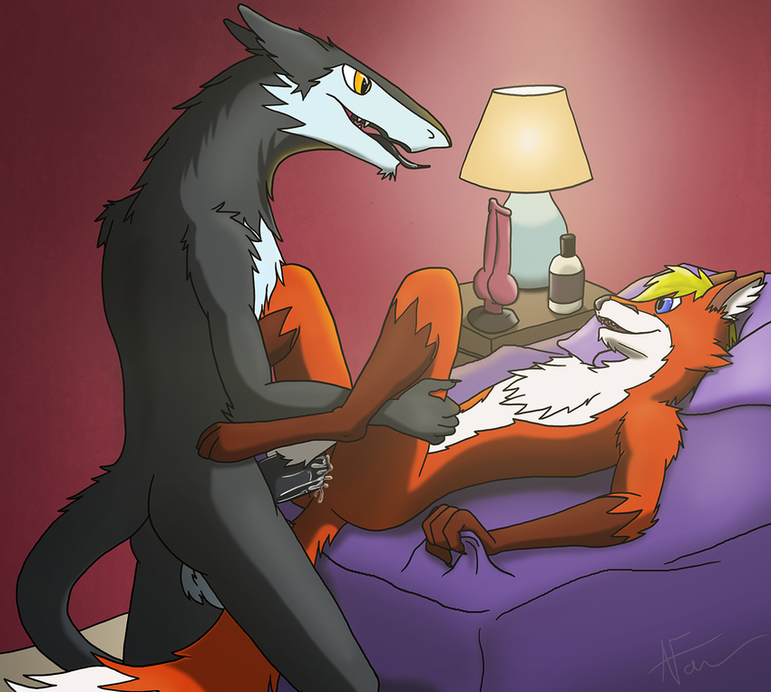 aldyn anal anal_penetration balls bed bedroom blonde_hair canine domination farroway floof fox girly hair knot lamp lube lying male male/male mammal nalyd on_back penetration penis precum raunchyhaunches sergal sex table_lotus_position tongue tongue_out toy