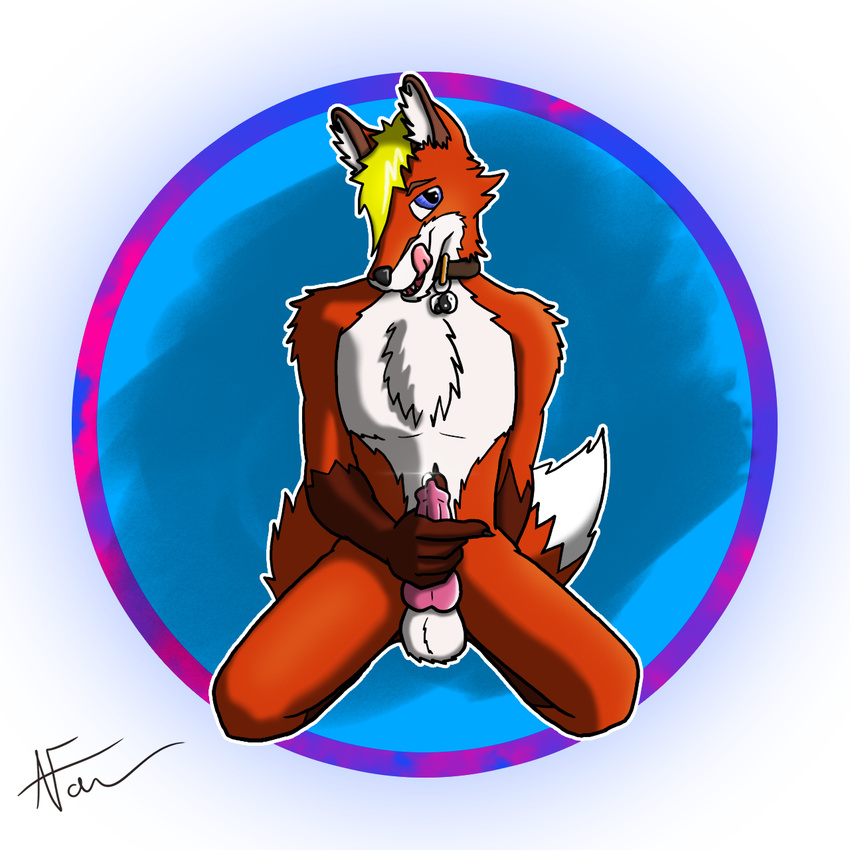 abstract aldyn badge canine collar coy farroway fox invalid_background invalid_tag kneeling knot licking male mammal masturbation pendant penis precum raunchyhaunches shiny smile tag tongue tongue_out vulp yang yin