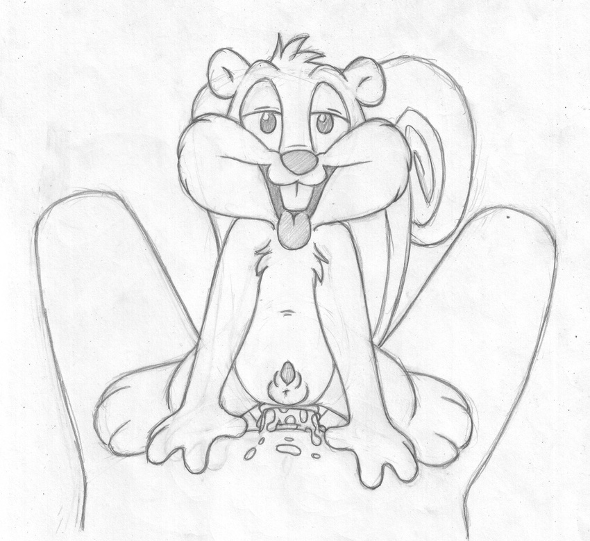 animal_genitalia animaniacs anthro anus balls barefoot buckteeth cub cum_from_ass duo erection first_person_view front_view greyscale half-closed_eyes human looking_at_viewer looking_pleasured lying male male/male mammal mizzyam monochrome nude on_back on_top on_top_of open_mouth pencil_(artwork) penis penis_riding penis_tip rodent sheath skippy_squirrel solo_focus squirrel tapering_penis teeth tongue tongue_out traditional_media_(artwork) young