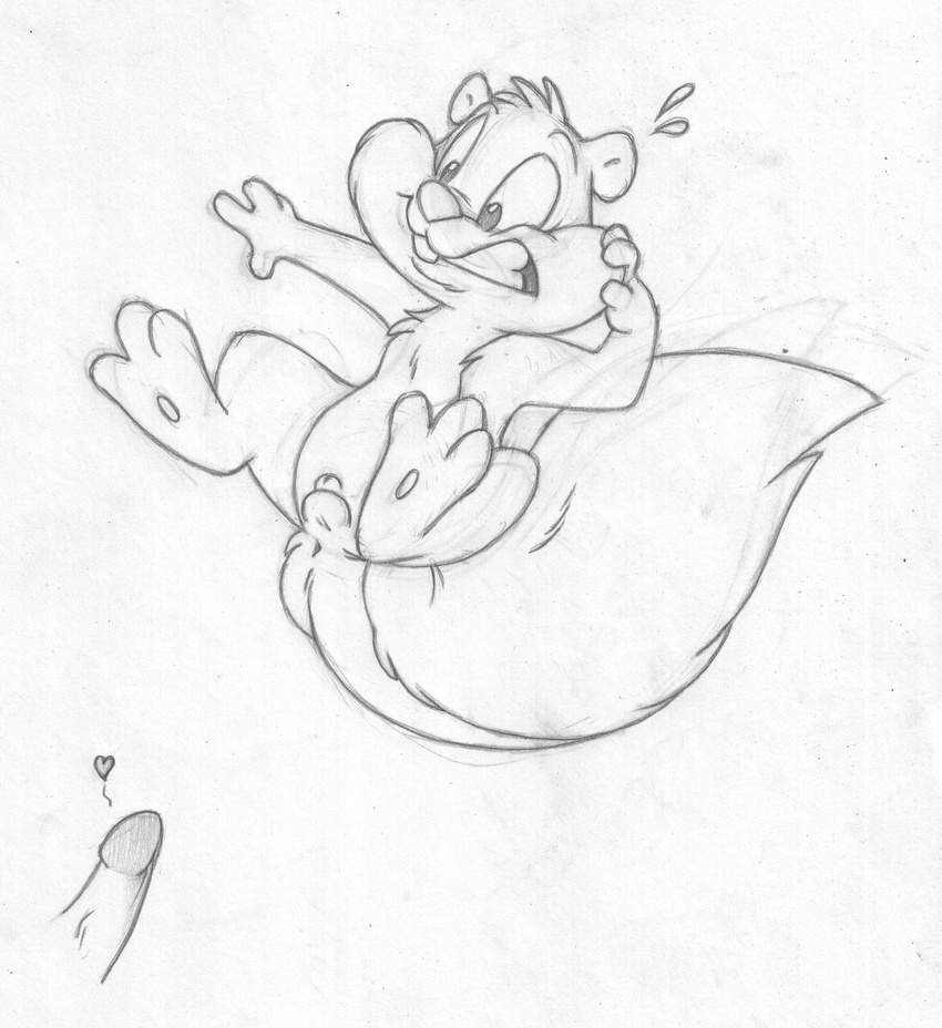 &lt;3 animal_genitalia animaniacs anthro anus balls barefoot buckteeth cub duo erection flying_sweatdrops front_view greyscale humanoid_penis jumping looking_down male mammal mizzyam monochrome nude pencil_(artwork) penis rodent scared sheath skippy_squirrel solo_focus spread_legs spreading squirrel sweat sweatdrop teeth traditional_media_(artwork) uhoh young