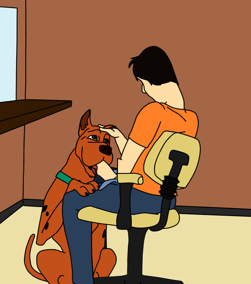 bestiality canine chair dog fellatio feral great_dane human human_on_feral interspecies male male/male mammal oral scooby-doo scooby-doo_(series) sex thatgtaguy