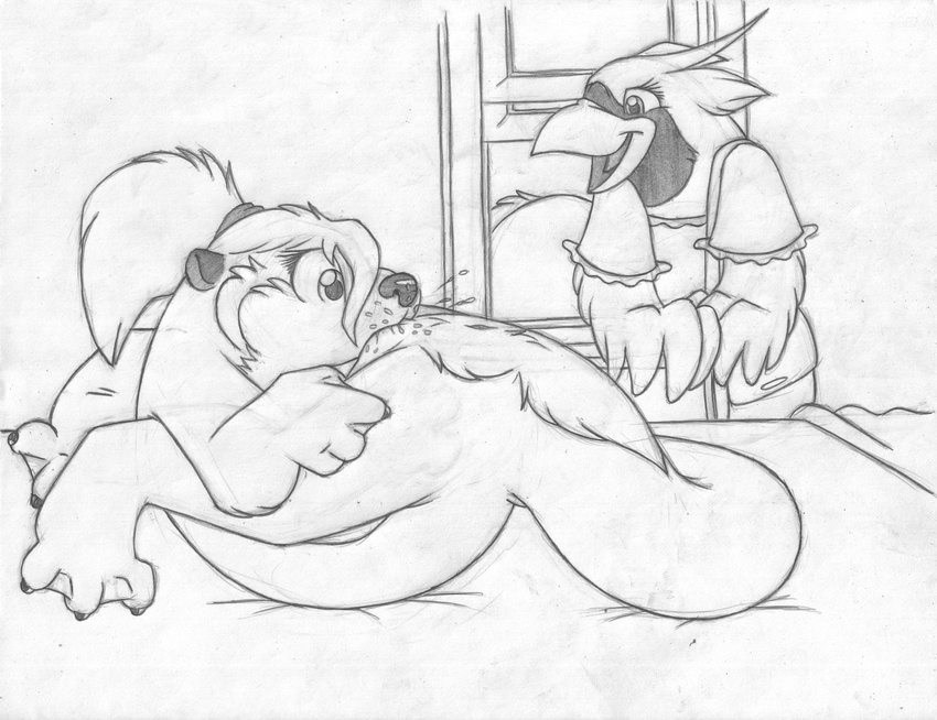 anthro anus autocunnilingus avian barefoot beak bed bird cardinal cub cute_fangs dialogue duo female flexible greyscale handbag inside katie_kirster legs_up licking long_tail lying mammal masturbation mimi_mackenzy mizzyam monochrome mustelid nude on_back on_bed open_mouth oral orgasm otter pencil_(artwork) ponytail pussy_juice smile spread_legs spreading surprise tongue tongue_out traditional_media_(artwork) vaginal voyeur walk-in webbed_feet webbed_hands window winged_arms wings young