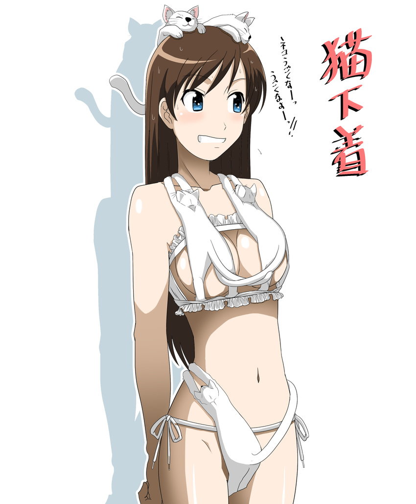 animal_ears blue_eyes blush bra breasts brown_hair cat cat_cutout cat_ears cat_lingerie cat_tail commentary_request highres kakkii long_hair looking_away medium_breasts meme_attire navel original parody solo tail too_literal too_many too_many_cats translated underwear underwear_only