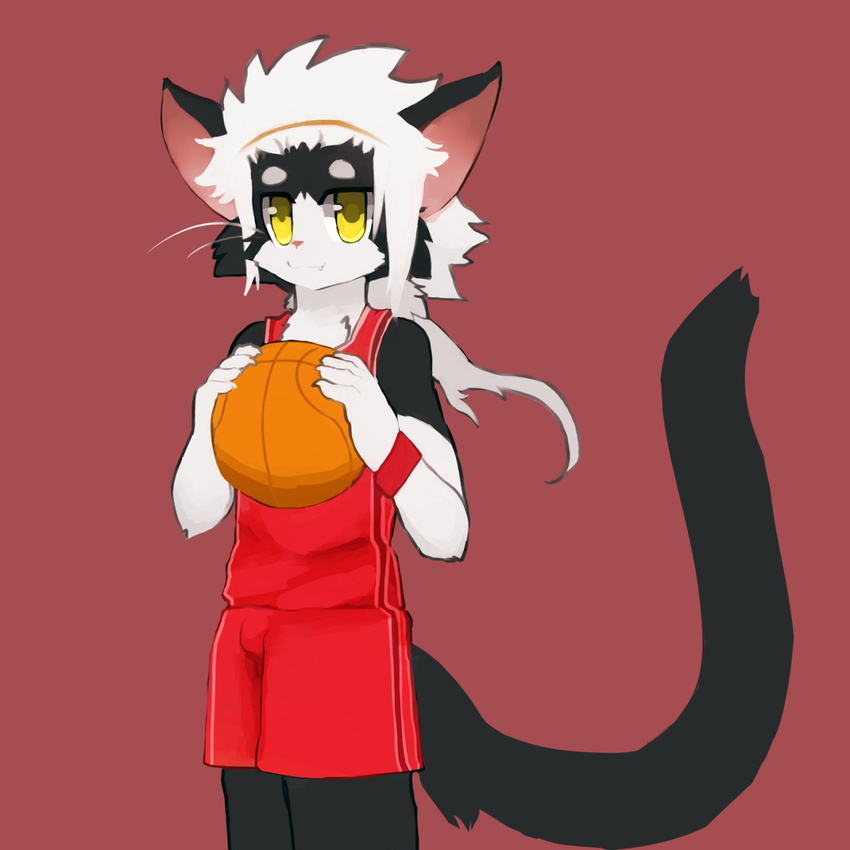 anthro basketball cat clothing feline holding_object jersey kay_(whiteleo) looking_at_viewer male mammal shorts solo standing whiskers whiteleo