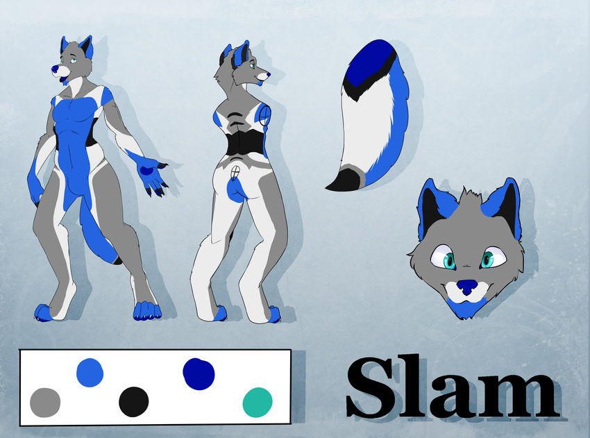 acethebigbadwolf anthro blue_eyes canine digitigrade male mammal model_sheet slam