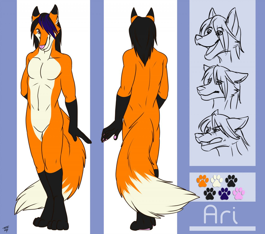 anthro ari_(aristeia) canine fox mammal model_sheet nude solo toraneko