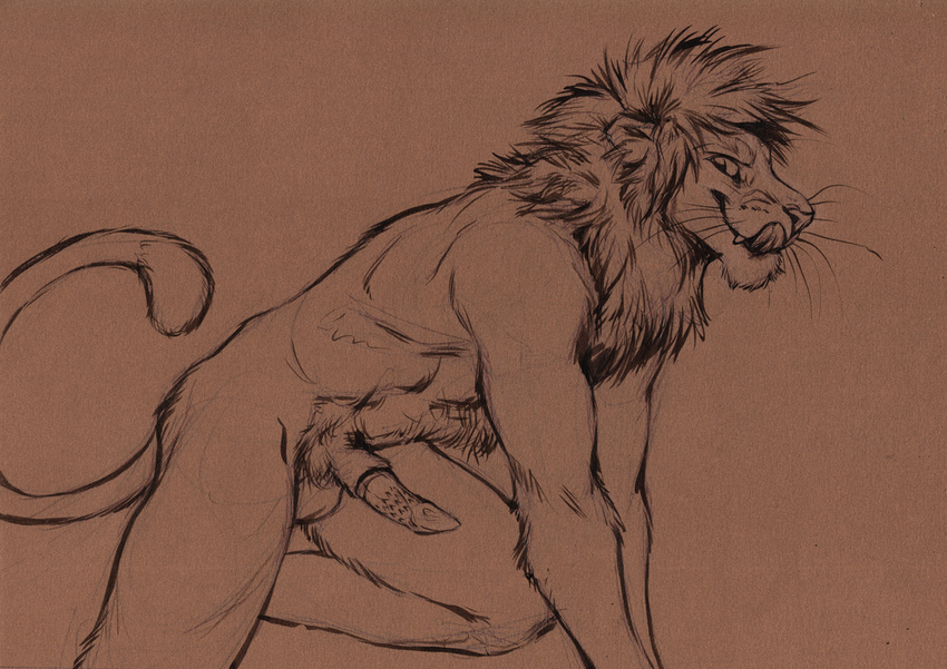 2016 anthro balls barbed_penis brown_and_white brown_background erection feline fur kenket licking licking_lips lion looking_back male mammal monochrome nude penis side_view simple_background sketch smile solo tongue tongue_out