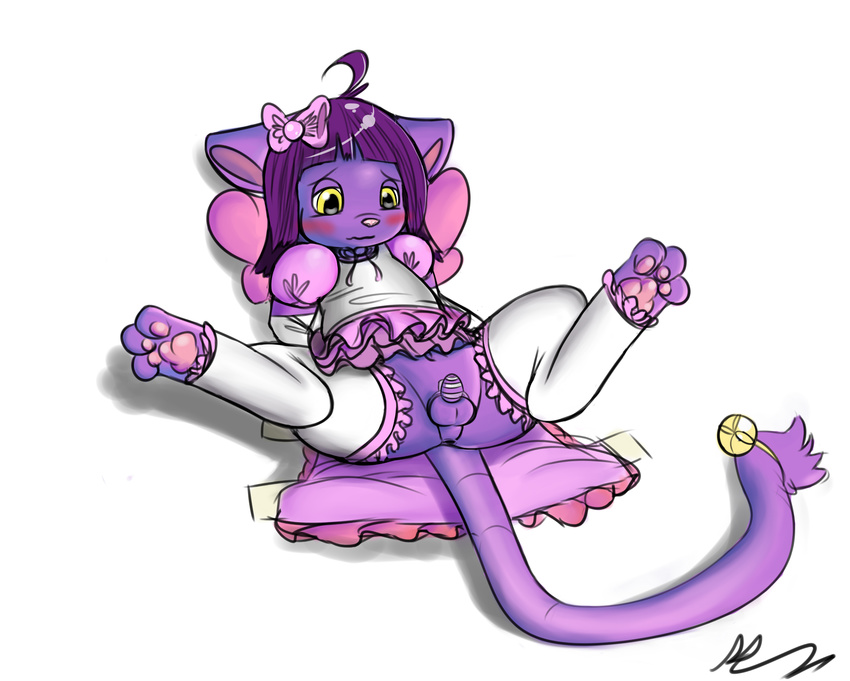 anthro anus balls blush butt cat chastity clothing cub dress feline fur girly hair hindpaw legwear mammal pawpads paws penis purple_fur purple_hair rairai ribbons simple_background solo spread_legs spreading stockings white_background yellow_eyes young