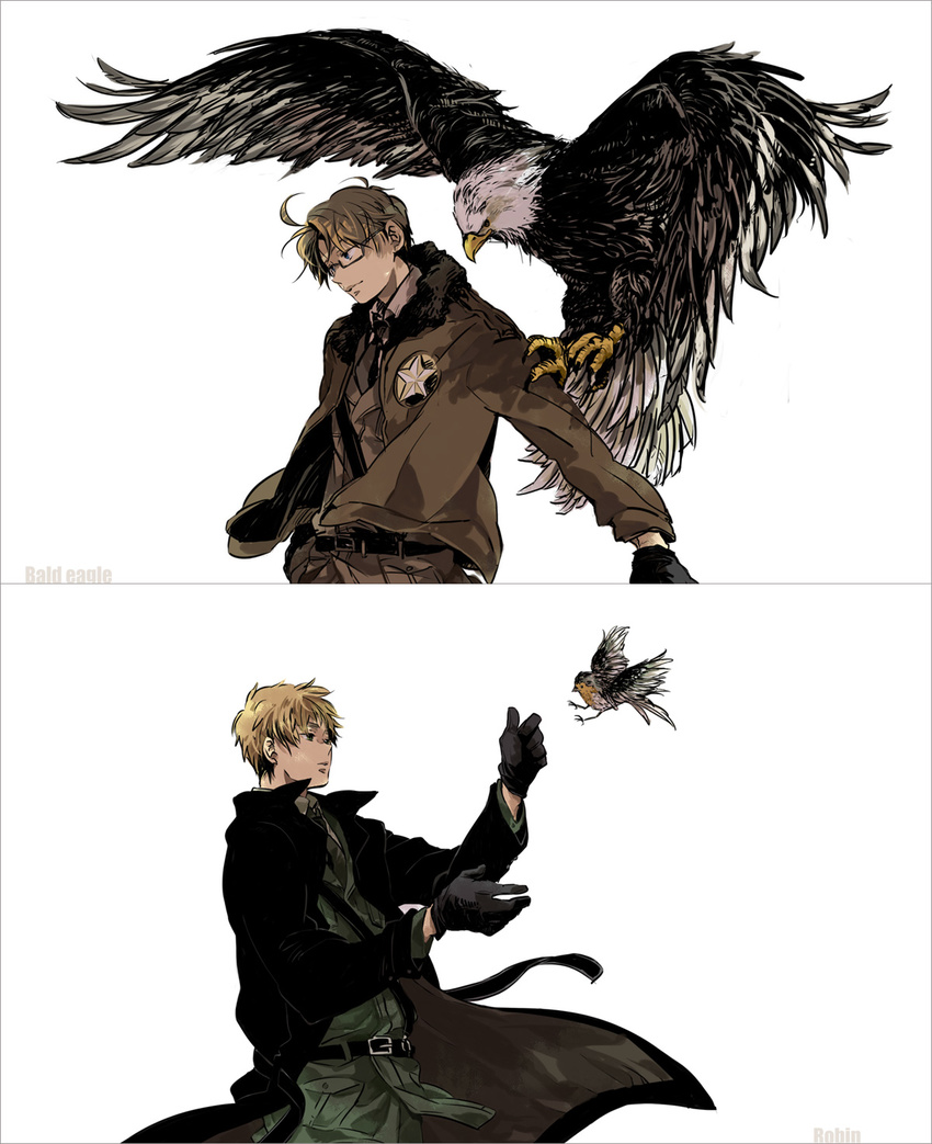 america_(hetalia) axis_powers_hetalia bad_id bad_pixiv_id belt bird blonde_hair blue_eyes eagle glasses gloves highres multiple_boys robin_(animal) sam_browne_belt short_hair uniform united_kingdom_(hetalia) yuko_mebouki