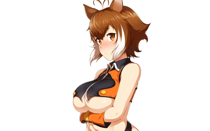 animal_ears blazblue blush breasts brown_hair gloves makoto_nanaya orange_eyes photoshop purinnssu short_hair underboob white white_hair