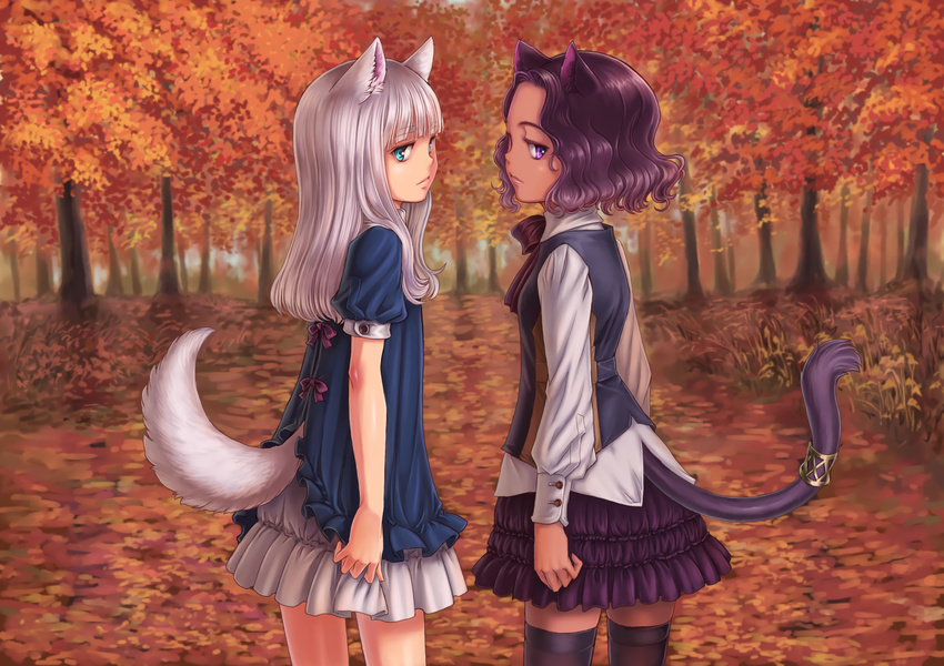 2girls animal_ears aqua_eyes autumn catgirl dark_skin doggirl forest kosai_takayuki leaves long_hair original purple_eyes purple_hair short_hair skirt tail thighhighs tree white_hair zettai_ryouiki