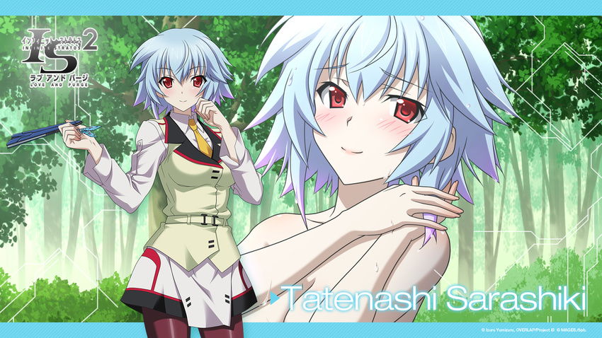 blue_hair infinite_stratos pantyhose red_eyes sarashiki_tatenashi seifuku short_hair tagme_(artist)