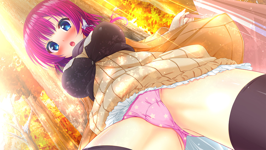 autumn blue_eyes blush game_cg kumihama_yuki nironiro pink_hair ren'ai_phase thighhighs tree underwear upskirt usume_shirou