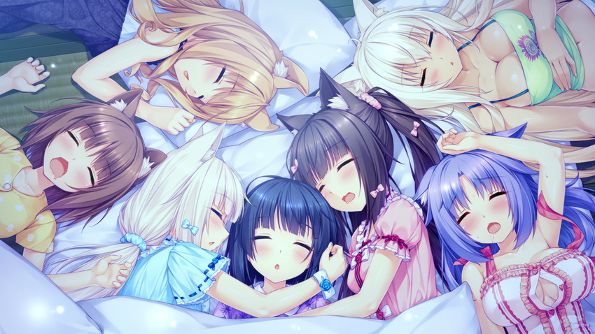 animal_ears azuki_(sayori) black_hair blonde_hair blue_hair breasts brown_hair cat_smile catgirl chocola_(sayori) cinnamon_(sayori) cleavage coconut_(sayori) game_cg group long_hair maple_(sayori) minazuki_shigure nekopara sayori short_hair vanilla_(sayori) white_hair