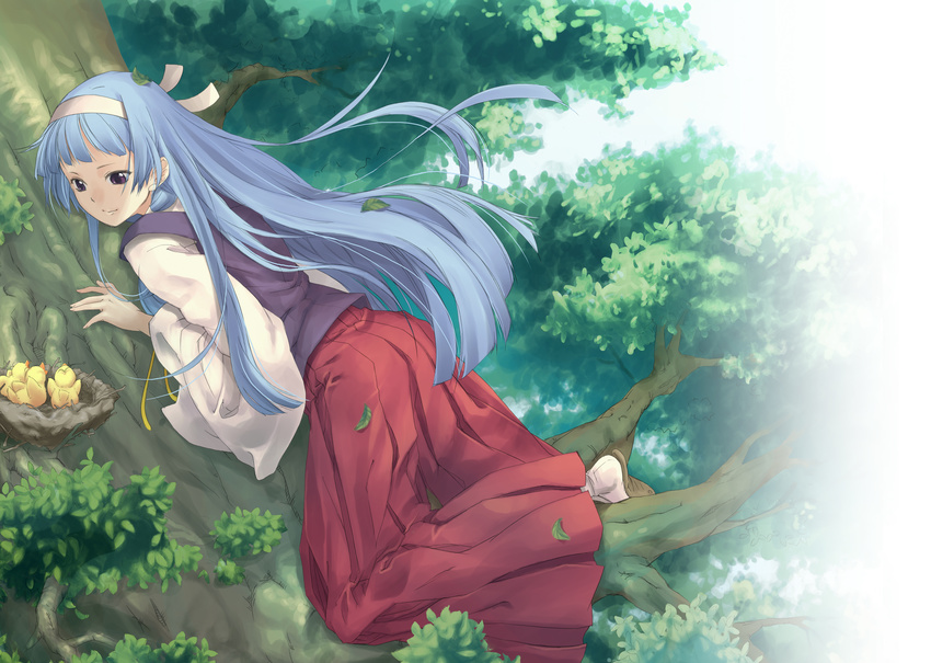 animal bird blue_hair headband japanese_clothes kannagi_crazy_shrine_maidens leaves long_hair nagi pua purple_eyes socks tree