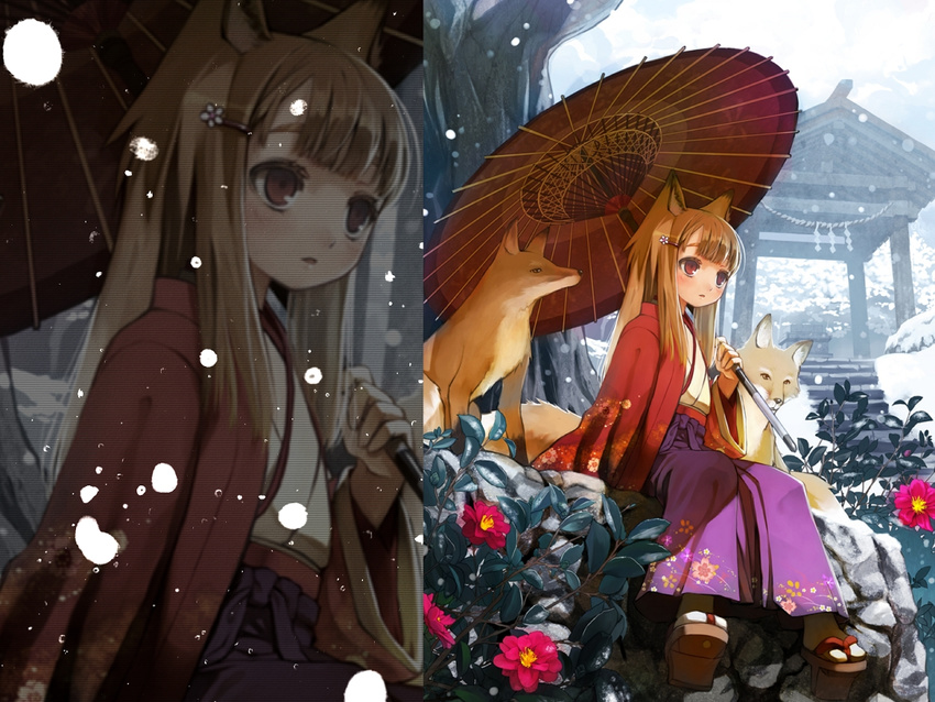 animal_ears brown_hair day flower fox fox_ears fox_tail japanese_clothes long_hair non-web_source oriental_umbrella original outdoors parasol red_eyes shiden_(t41xz) snow solo tail third-party_edit umbrella wallpaper zoom_layer