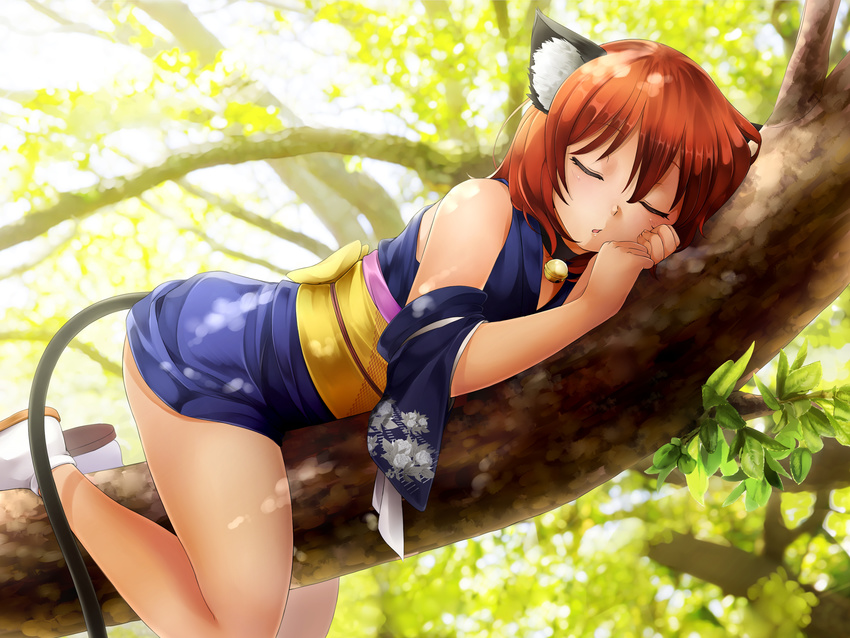 animal_ears bell catgirl forest hunie_pop japanese_clothes kimono momo_(hunie_pop) ninamo red_hair short_hair sleeping tail tree yukata