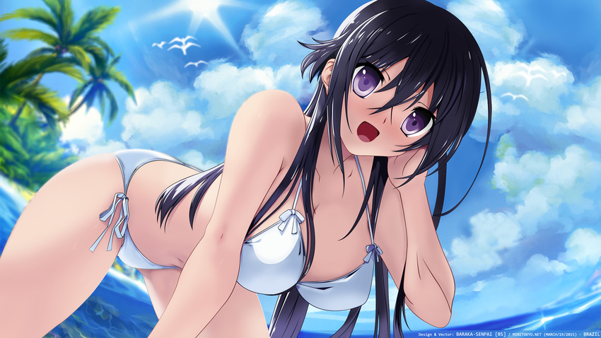 andromeda_heliotrope animal axl beach bikini bird black_hair breasts cleavage clouds hyakka_ryouran_elixir long_hair navel purple_eyes senomoto_hisashi swimsuit vector water watermark