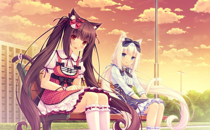 animal_ears catgirl chocola_(sayori) nekopara sayori vanilla_(sayori)