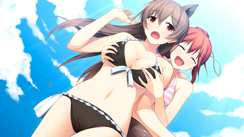 animal_ears bikini blush breast_grab brown_eyes brown_hair ciel_arca game_cg long_hair navel red_hair rosebleu sekai_wo_sukuu_dake_no_kantan_na_oshigoto sky swimsuit yamanashi_akari