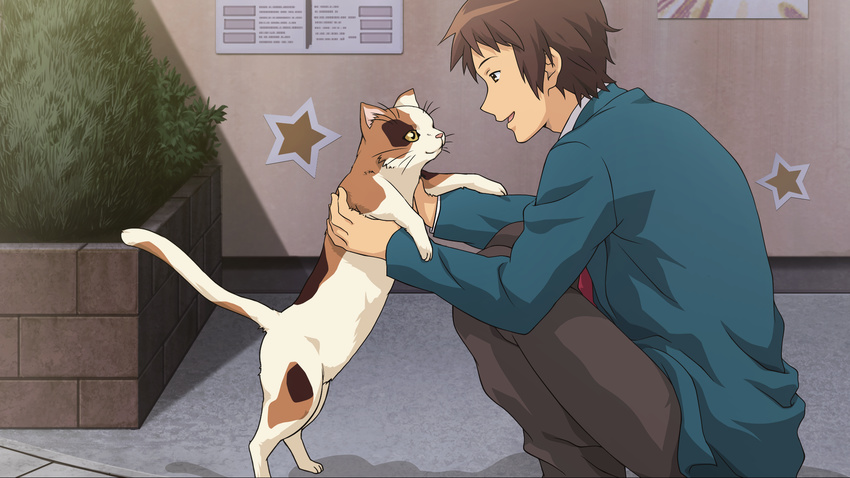 all_male animal brown_eyes brown_hair cat game_cg kyon male suzumiya_haruhi_no_tsuisou suzumiya_haruhi_no_yuutsu