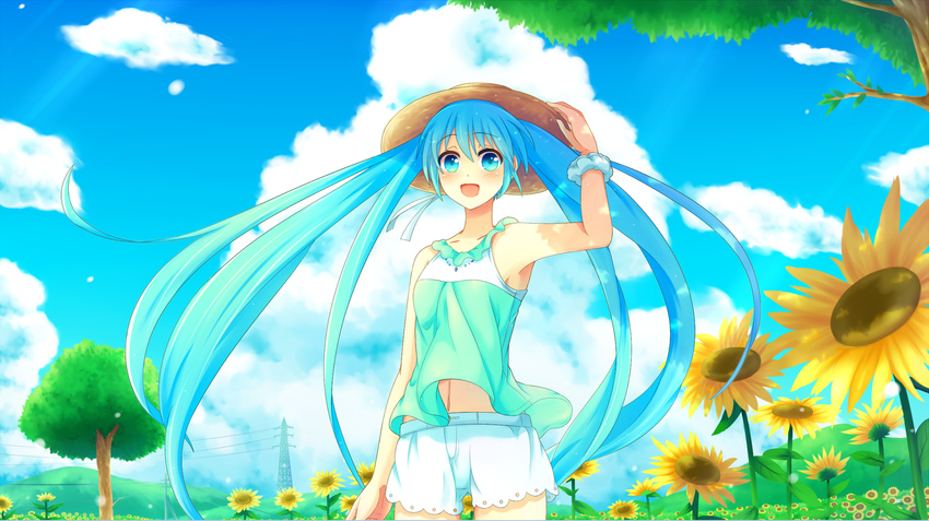 aqua_eyes aqua_hair clouds flowers hat hatsune_miku long_hair sakakidani summer sunflower vocaloid